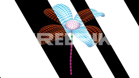 Flower. Looping footage has 4K resolution. | Premium Stock Video Footage