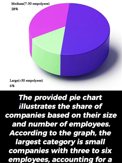 Pie Chart Analysis of Company Size and Employee Distribution