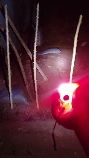 Đèn Pin Mini Đa Nẵng 520