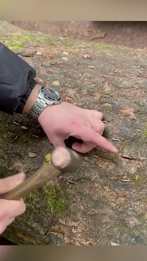 108K views · 450 reactions | Money tree . . . #facts#telugufacts#interestingfacts#amazingfacts#hiddenfacts#factsintelugu#telugufactszone#trendingtelugufacts#trending#trendingtopics | Think With Feroz | Facebook