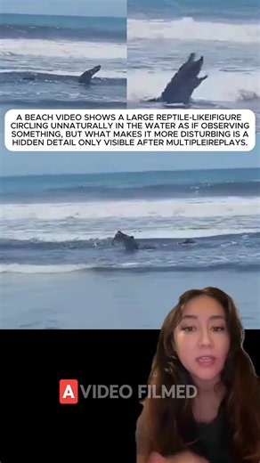 Mysterious Reptile-Like Figure Circling Near Shoreline Caught on Beach Video