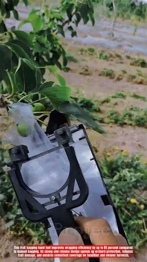 Innovative Fruit Bagging Hand Tool: Best Fast Protective Wrapping Action