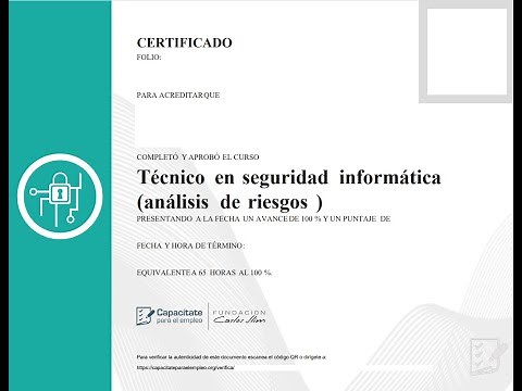 Curso Técnico en Seguridad Informática (análisis de riesgos)de la página. capacitateparaelempleo.org