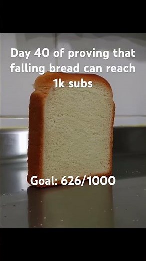 Day 40 of proving that falling bread can reach 1k subs