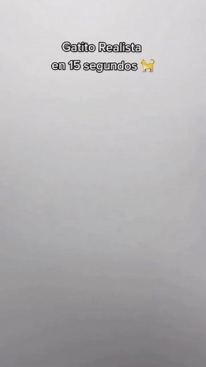 Mira esta técnica para dibujar la cara de un gatito 😻 ¡Prueba hacerlo tú! Síguenos si quieres aprender tips de dibujo 😉 #arte #dibujofacil #dibujorealista #realismo #dibujo #dibujoalapiz #gatostiktok #cats