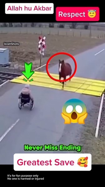 Ma Shaa Allah 🥰 Greatest save by Horse #shorts #respect #status #allah