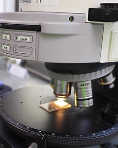 ¡Aquí es donde construimos un mejor futuro! 🌎 Conoce más sobre el Centro de Innovación y Desarrollo #CEMEX, un lugar donde la sostenibilidad, innovación, calidad y educación son la clave para crear productos y soluciones basadas en las necesidades de nuestros clientes y la industria de la construcción, y que además sean bajos en carbono. Esto mediante el uso de nuevas tecnologías, estrategias y materiales de la más alta calidad. Más info aquí: https://bit.ly/3JKhStF | Cemex México