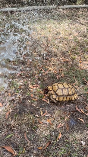 Taylor Stanberry on Reels