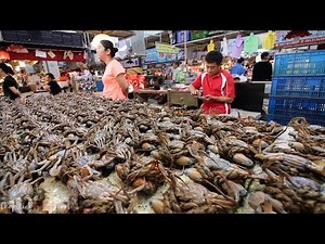 Taiwanese Seafood Tour - Rainbow Crabs Cooked Two Ways | OUTRAGEOUS Street Food in Taiwan
