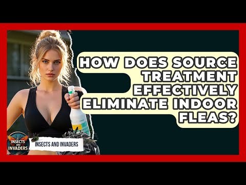 How Does Source Treatment Effectively Eliminate Indoor Fleas? - Insects and Invaders