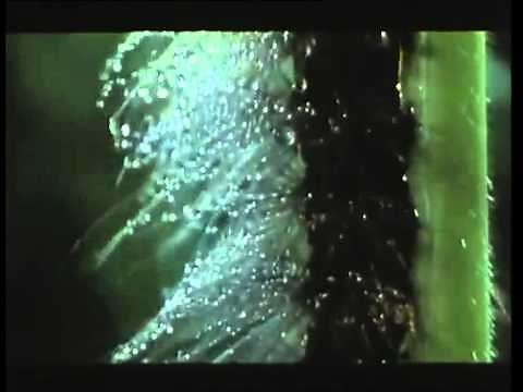 Microcosmos - le peuple de l'herbe ( bande annonce )