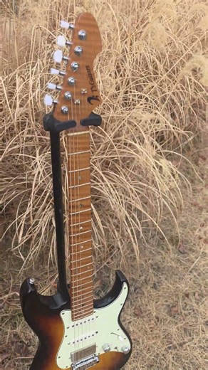 티즈 DST 클래식 22 59 버스트 5A 플레임 로스티드 메이플넥 T'S DST-22 CLASSIC ROSTED FLAME MAPLE NECK #T'S #티즈 #BORABORA