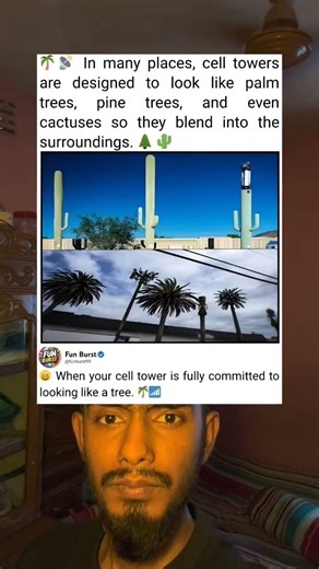 Cell Towers Sometimes Disguise Themselves As Trees