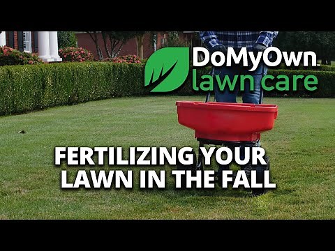 Fall Fertilizer Tips | DoMyOwn.com