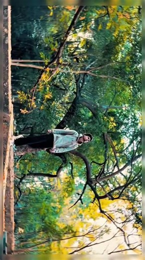 FEEL THIS SONG 🥺❤️‍🩹 | #old ##fp #new #id #india #chd #reels #ex #eyes #songs #baby #yotube #memorie