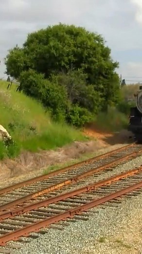 Steam Engine Train Journey #steam #engine #railway #train #locomotive #steamengine #journey #railroad #whistle | Steam Engine