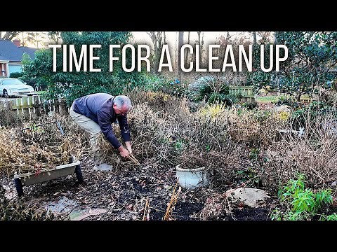 Satisfying Garden Cleanup and Bulb Planting