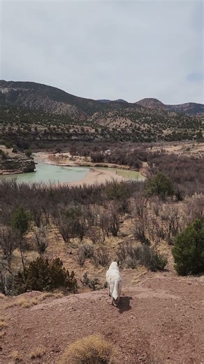 Chama River Valley in NM
