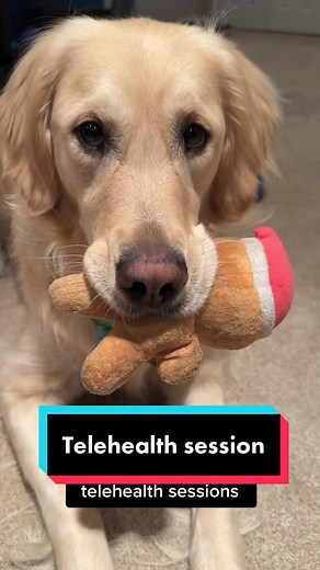 TherapyNotes on TikTok