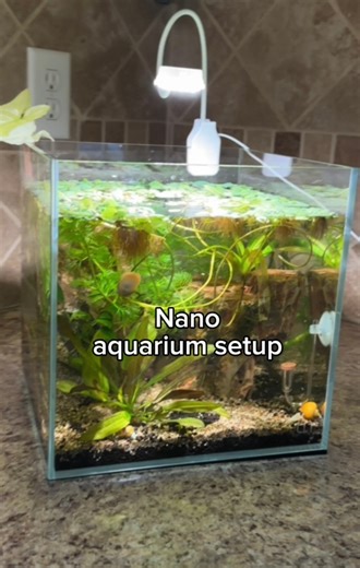 153K views · 5K reactions | More details on all the items used ⬇️:...