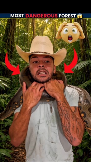 Why Amazon Forest Is So Dangerous? 🐍
