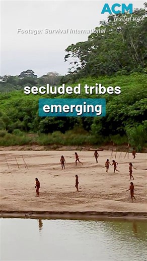 Rare footage captures world's most secluded tribe emerging from the Amazon