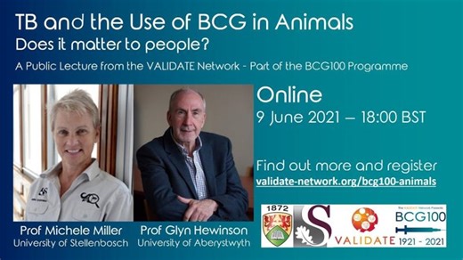 TB and the use of BCG in Animals   Does it matter to people | VALIDATE Network