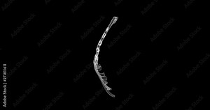 Screen 3d of sternum and ribs structure bone in the human body - loop