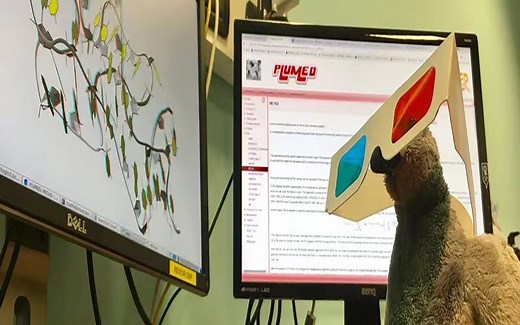 分子动力学进阶：MetaD调参教程