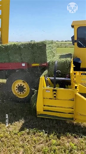 12K views · 13 reactions | Collecting hay bales made easy Partner: bales_hay YT: https://www.youtube.com/@BalesHayFarmandRanch | Handy Panda | Facebook