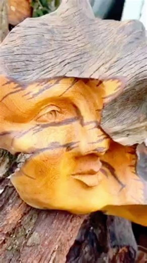 I made a beautiful mask from a tree root 🌳 #shorts #viral #tree #art #mask #wood