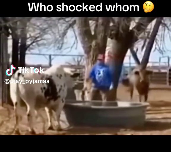 Who Shocked Whom? Understanding the Pyjama Mystery