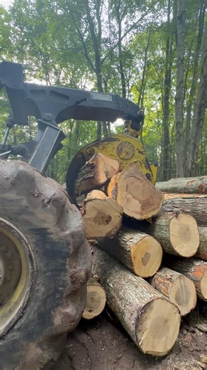 Timberjack 460 Moving Logs to the Deck at the Landing