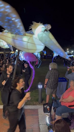3.9K views · 108 reactions | #Flashing lights #HHI #lanternparade | Derrick Ludaway | Facebook