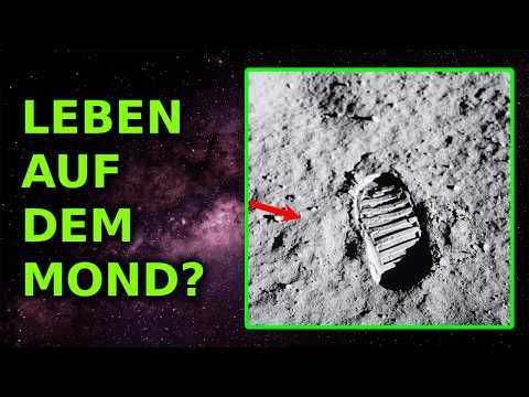 Alien-Spuren am Mond? Zum Entspannen