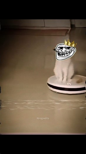 Robo cleaner vs cat#robot #cleaner #robots #roboclean #nirajjiedits #cat #catshorts #sigma #robotics