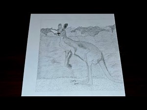 🎨 How to Draw a Kangaroo | Realistic Pencil Shading Tutorial#kangaroo#drawing #pencildrawing #draw