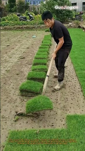 How to Edge a Lawn with Just a Shovel! DIY Yard Hack