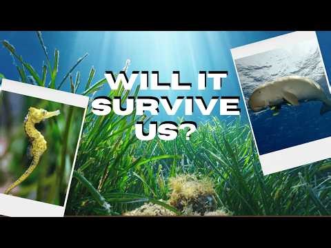 It Survived 100 Million Years. Will It Survive Us?