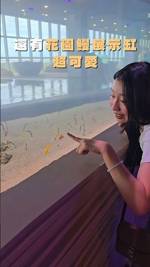 【好好玩｜台中海洋館必拍亮點☀️🪼🫗】