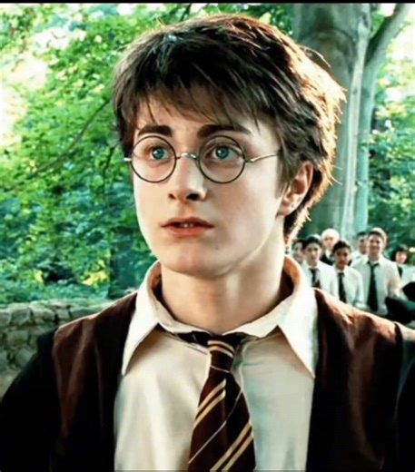 Creating a Harry Potter Moodboard