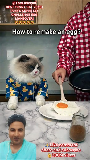 Cat DIY Challenge: Egg Makeover#thatlilttlepuff #cat #puff #shorts #trending #funny #viral#foryou#yt