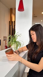 7.7K views · 166 reactions |  Buy 3, Get 1 FREE!  Buy any 3 tins (800g or 600g) and we’ll reward you with a FREE Plant Omega (800g) — your daily nutrition just got better! Week 3 Promotion Period: Thu 16/10 (12:00am) - Wed 22/10 (11:59pm) Only available on our official website!  Limited-time only ⏰ Don’t miss out! #premiumpure #wholegraindrink #healthychoice | Premium Pure | Facebook