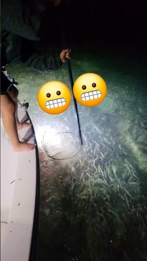 Easiest Way To Catch A Lobster: Watch This!