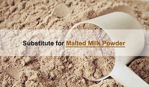What Can You Substitute for Malted Milk Powder? 14 Options