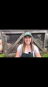 4.3K views · 92 reactions | Composting 101! Everything you need to...