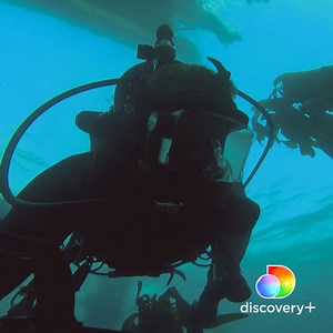 18K views · 314 reactions | ABC4EXPLORE is diving into the kelp forests in search of white sharks. #SharkWeek 麗 Stream Great White Comeback right now on discovery+. 麗 links.discoveryplus.com/greatwhitecomeback | Science Channel | Facebook