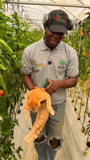 Experienced Agronomist in Jos ™️ | 🚨 OPPORTUNITY ALERT FOR YOUNG AGRI-ENTREPRENEURS 🚨 Are you a driven young person between 22 – 35 years? Do you have a deep passion for... | Instagram