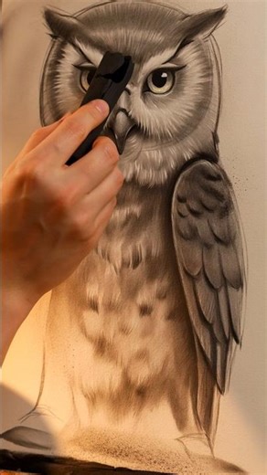 The MOST satisfying way to shade an owl 🦉✨ #art #drawing #shorts