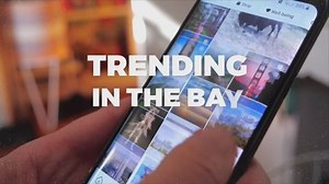 Black Joy Parade grows the movement and redefines celebration | Haystack News